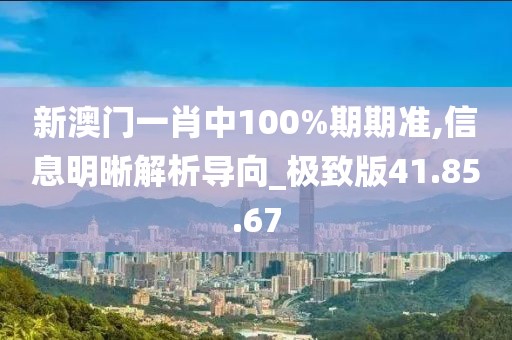新澳门一肖中100%期期准,信息明晰解析导向_极致版41.85.67