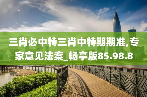 三肖必中特三肖中特期期准,专家意见法案_畅享版85.98.8