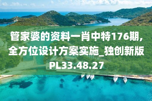 管家婆的资料一肖中特176期,全方位设计方案实施_独创新版PL33.48.27