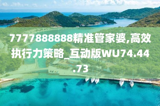 7777888888精准管家婆,高效执行力策略_互动版WU74.44.73