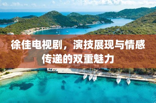 徐佳电视剧，演技展现与情感传递的双重魅力