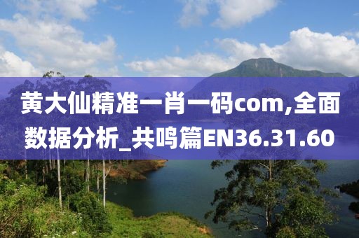 黄大仙精准一肖一码com,全面数据分析_共鸣篇EN36.31.60
