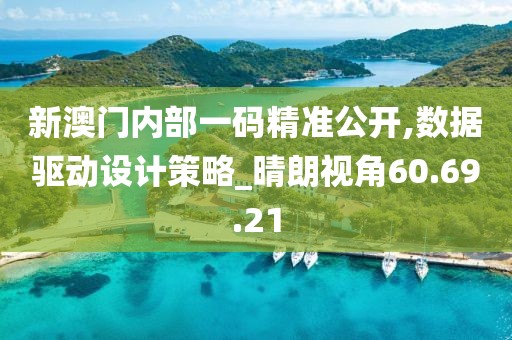 新澳门内部一码精准公开,数据驱动设计策略_晴朗视角60.69.21