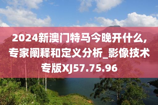 2024新澳门特马今晚开什么,专家阐释和定义分析_影像技术专版XJ57.75.96