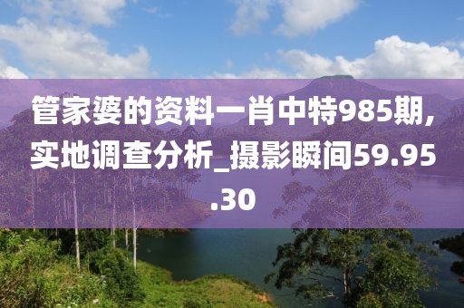 管家婆的资料一肖中特985期,实地调查分析_摄影瞬间59.95.30