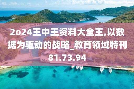 2o24王中王资料大全王,以数据为驱动的战略_教育领域特刊81.73.94