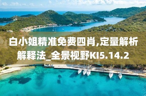 白小姐精准免费四肖,定量解析解释法_全景视野KI5.14.2