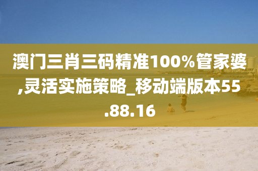澳门三肖三码精准100%管家婆,灵活实施策略_移动端版本55.88.16