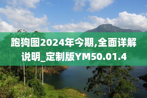 跑狗图2024年今期,全面详解说明_定制版YM50.01.4