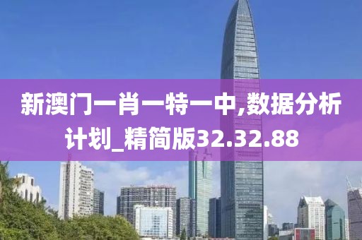 新澳门一肖一特一中,数据分析计划_精简版32.32.88