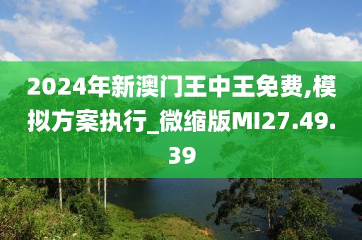 2024年新澳门王中王免费,模拟方案执行_微缩版MI27.49.39