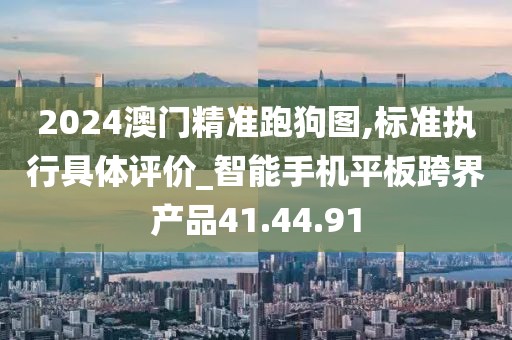2024澳门精准跑狗图,标准执行具体评价_智能手机平板跨界产品41.44.91