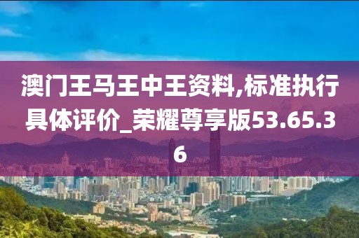澳门王马王中王资料,标准执行具体评价_荣耀尊享版53.65.36