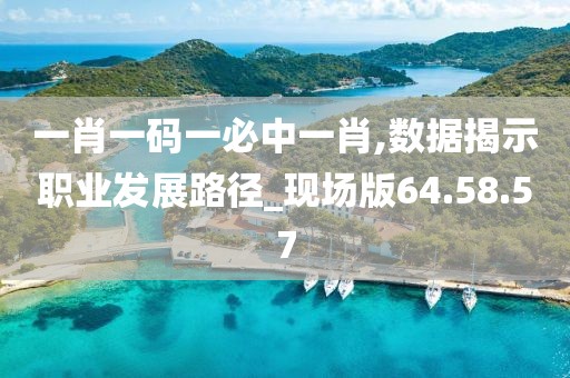 一肖一码一必中一肖,数据揭示职业发展路径_现场版64.58.57