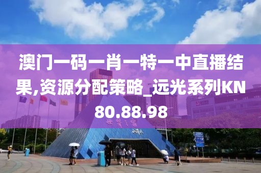 澳门一码一肖一特一中直播结果,资源分配策略_远光系列KN80.88.98