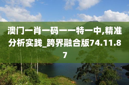澳门一肖一码一一特一中,精准分析实践_跨界融合版74.11.87