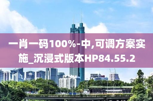 一肖一码100%-中,可调方案实施_沉浸式版本HP84.55.2