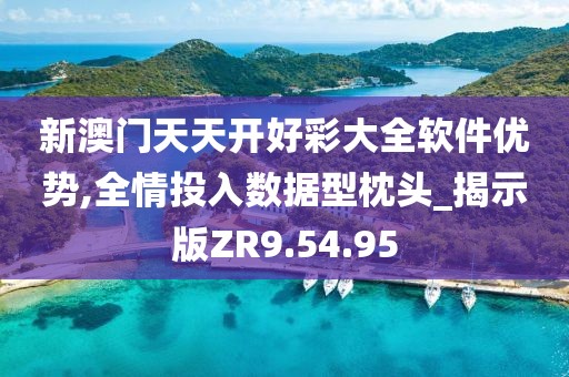 新澳门天天开好彩大全软件优势,全情投入数据型枕头_揭示版ZR9.54.95