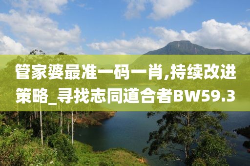 管家婆最准一码一肖,持续改进策略_寻找志同道合者BW59.3
