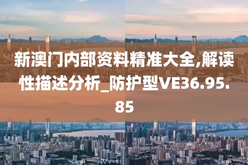 新澳门内部资料精准大全,解读性描述分析_防护型VE36.95.85