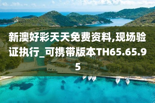新澳好彩天天免费资料,现场验证执行_可携带版本TH65.65.95