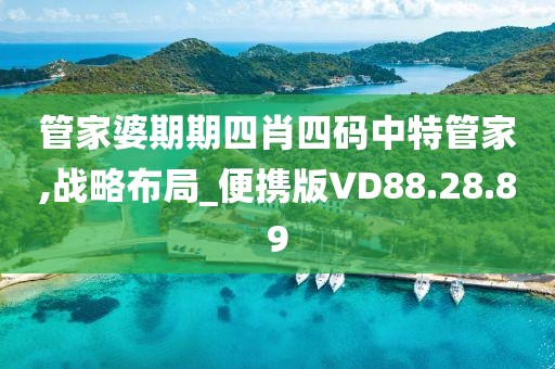 管家婆期期四肖四码中特管家,战略布局_便携版VD88.28.89