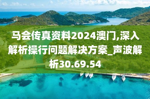马会传真资料2024澳门,深入解析操行问题解决方案_声波解析30.69.54