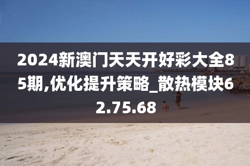 2024新澳门天天开好彩大全85期,优化提升策略_散热模块62.75.68