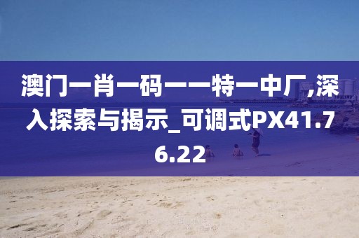 澳门一肖一码一一特一中厂,深入探索与揭示_可调式PX41.76.22
