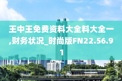 王中王免费资料大全料大全一,财务状况_时尚版FN22.56.91