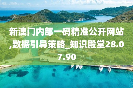 新澳门内部一码精准公开网站,数据引导策略_知识殿堂28.07.90