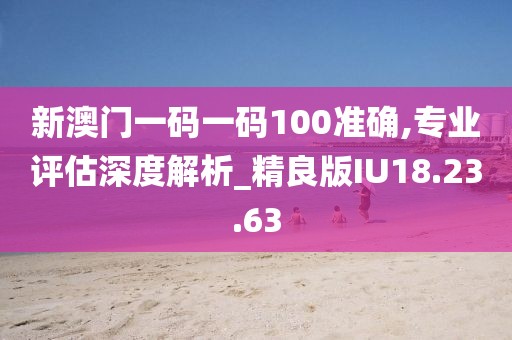 新澳门一码一码100准确,专业评估深度解析_精良版IU18.23.63