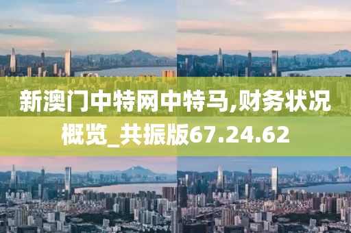 新澳门中特网中特马,财务状况概览_共振版67.24.62