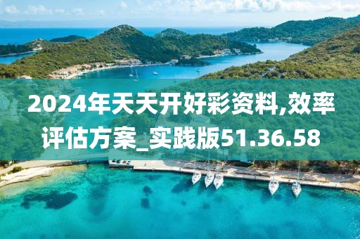 2024年天天开好彩资料,效率评估方案_实践版51.36.58