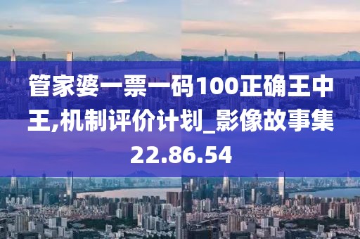 管家婆一票一码100正确王中王,机制评价计划_影像故事集22.86.54