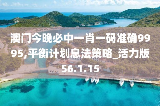 澳门今晚必中一肖一码准确9995,平衡计划息法策略_活力版56.1.15