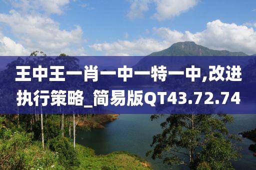 王中王一肖一中一特一中,改进执行策略_简易版QT43.72.74
