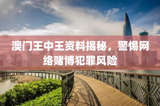 澳门王中王资料揭秘，警惕网络赌博犯罪风险