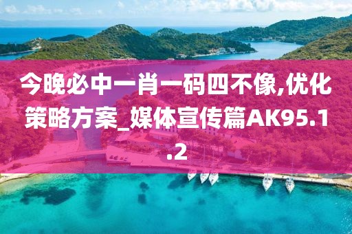 今晚必中一肖一码四不像,优化策略方案_媒体宣传篇AK95.1.2