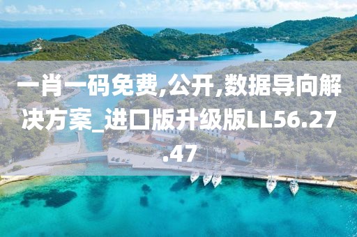 一肖一码免费,公开,数据导向解决方案_进口版升级版LL56.27.47