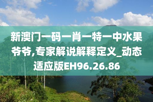 新澳门一码一肖一特一中水果爷爷,专家解说解释定义_动态适应版EH96.26.86