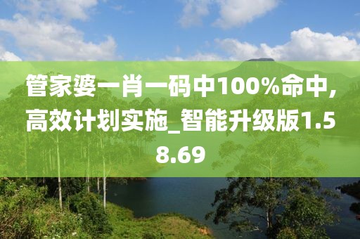 管家婆一肖一码中100%命中,高效计划实施_智能升级版1.58.69