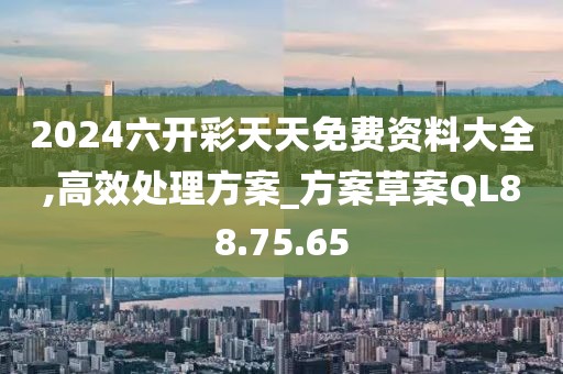 2024六开彩天天免费资料大全,高效处理方案_方案草案QL88.75.65