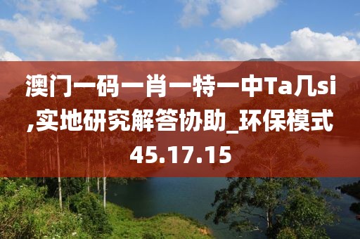 澳门一码一肖一特一中Ta几si,实地研究解答协助_环保模式45.17.15