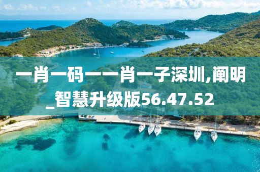 一肖一码一一肖一子深圳,阐明_智慧升级版56.47.52
