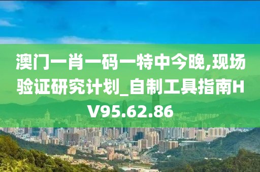 澳门一肖一码一特中今晚,现场验证研究计划_自制工具指南HV95.62.86