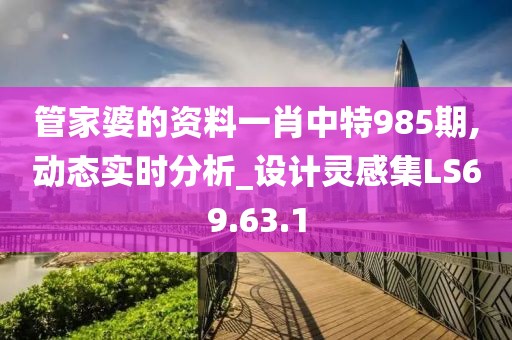 管家婆的资料一肖中特985期,动态实时分析_设计灵感集LS69.63.1