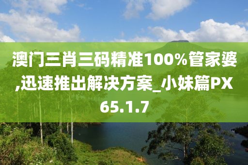 澳门三肖三码精准100%管家婆,迅速推出解决方案_小妹篇PX65.1.7