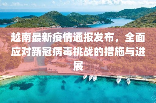 越南最新疫情通报发布，全面应对新冠病毒挑战的措施与进展