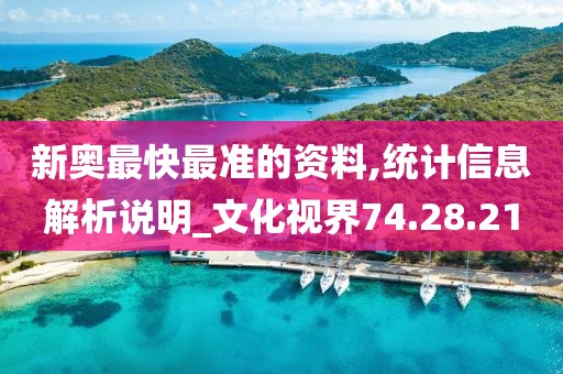 新奥最快最准的资料,统计信息解析说明_文化视界74.28.21